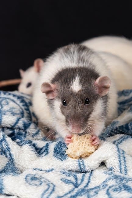 pets go raw feeding guide