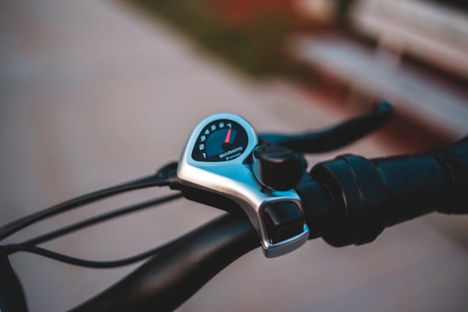 e bike controller manual